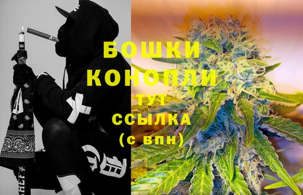 стафф Богородицк